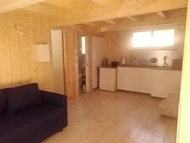 Studio Dans Les Pins Lacanau Apartment Luaran gambar